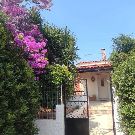 Olive Grove Cottage Skalani Knosos Exterior foto