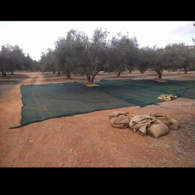 Olive Grove Cottage Skalani Knosos Exterior foto