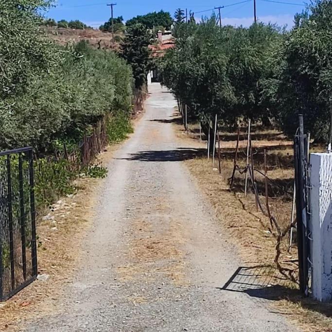 Olive Grove Cottage Skalani Knosos Exterior foto