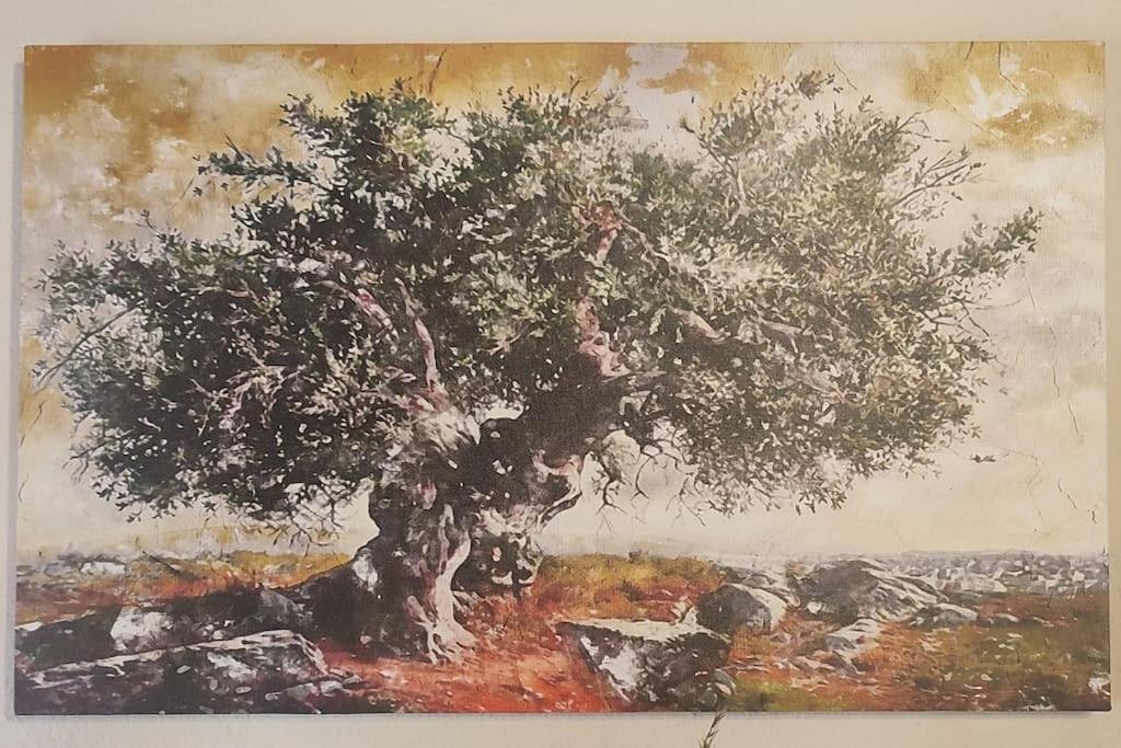 Olive Grove Cottage Skalani Knosos Exterior foto
