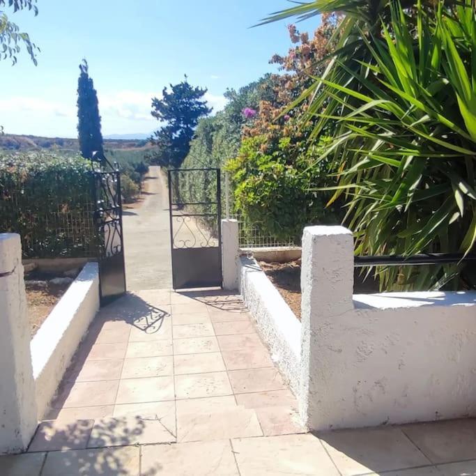 Olive Grove Cottage Skalani Knosos Exterior foto