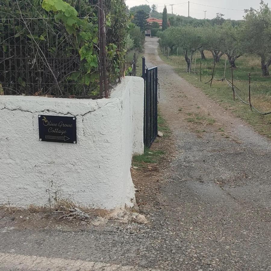Olive Grove Cottage Skalani Knosos Exterior foto